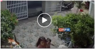 Video: Khoảnh khắc 2 bé gái vừa bước vào nhà, chậu cây cảnh rơi từ trên ban công xuống
