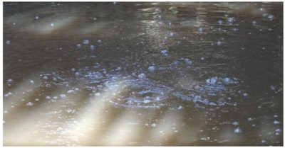 Lạ kỳ hồ nước sôi nhiều đời không dứt ở miền Tây: ‘Nói chuyện lớn tiếng quanh hồ thì bóng nước sôi càng to và mạnh’