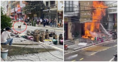 Chú chó trong vụ nổ cửa hàng gas ở Sa Pa quyết không rời đi đợi chủ về