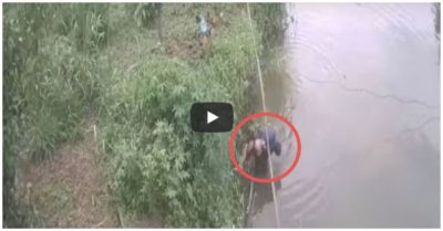 Video: Thót tim cảnh cháu bé chìm giữa hồ nước vắng, chủ hồ vô tình phát hiện cứu sống