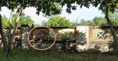 F0 chui rào bệnh viện để hái lá xông bị phạt 7,5 triệu đồng