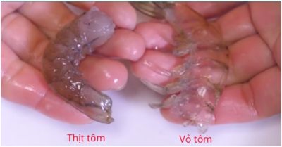 Video: Mách bạn mẹo bóc vỏ tôm đơn giản, cả bộ vỏ tôm dễ dàng tuột ra