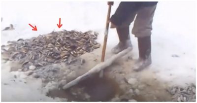 Video: Khoan hố nhỏ trên sông đóng băng, nhóm người thu về những mẻ lưới nặng trịch