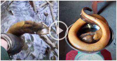 Video người đàn ông thả sợi dây dù xuống dưới hang ngập nước, thu hoạch kỷ lục trong đời