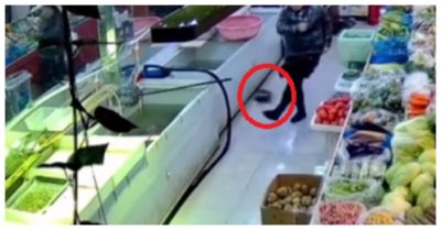 Clip: Nữ cao thủ đá con cá vượt vũ môn bay lại vào bể