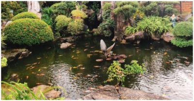 Bé trai 4 tuổi tử vong dưới hồ nước trong quán cà phê hoạt động ‘chui’