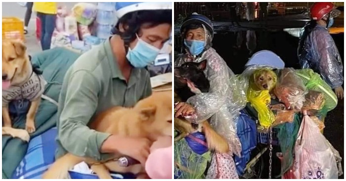 Vợ chồng anh Hùng chở những chú chó trên xe máy chất lỉnh kỉnh đồ đạc về quê tránh dịch (ảnh cắt từ clip).