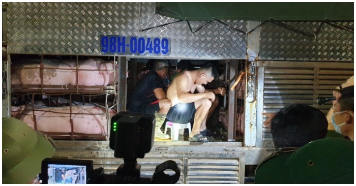 Cảnh sát bắt quả tang nhóm người trốn trong thùng xe tải chở lợn để tránh khai báo y tế (ảnh chụp màn hình trên báo Zing).