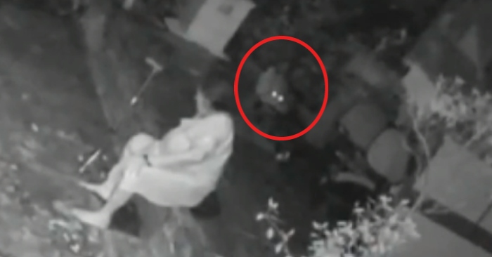 Video: Ngồi nghỉ trước hiên nhà, người phụ nữ bị báo hoa mai tấn công