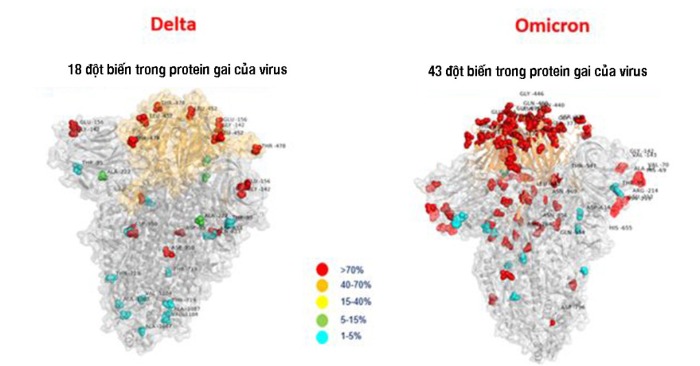Hình ảnh so sánh lượng đột biến giữa Delta và biến chủng mới Omicron (ảnh:Ansa).