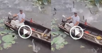 Video: Đàn cá đua nhau tự nhảy vào thuyền ngư dân