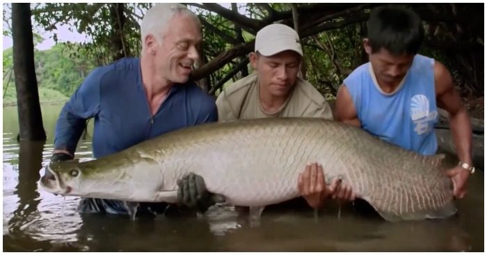Video: Cần thủ câu được cá ‘khủng’ chỉ lấy một cái vảy rồi thả, lý do mang ý nghĩa sâu sắc