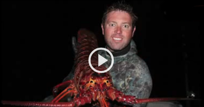 Video: Bắt được con tôm khổng lồ 70 tuổi tại Mỹ