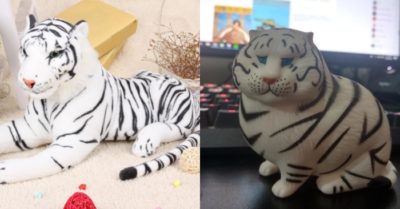 Đặt mua hổ bông lông trắng, chủ nhân ‘giật mình’ khi nhận hàng