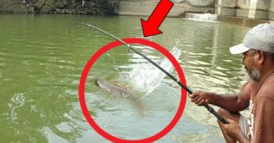 Video: Thả câu dưới chân cầu, ông lão kéo lên cá ‘khủng’ khiến mọi người ngỡ ngàng