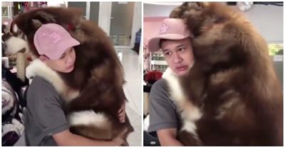 Clip: Chàng trai mệt mỏi vì chó cưng giận dỗi