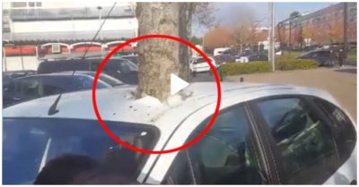 Video: Cây xanh có trước hay ôtô có trước?