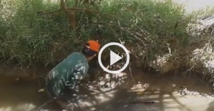 Video: Cao thủ bắt ếch trong hang chỉ bằng một cái que