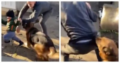 Video: Chó cưng ngăn cản ông chủ đánh cậu bé
