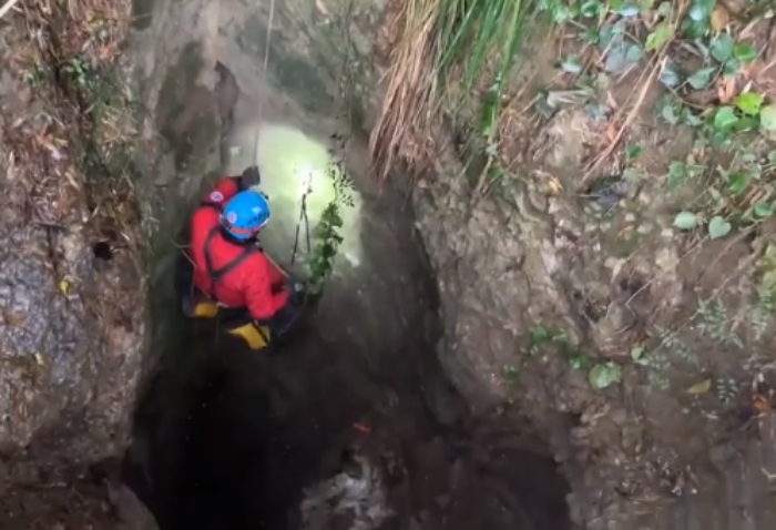 Video: Giải cứu chó cưng sau 6 năm rơi xuống hang sâu 50 mét