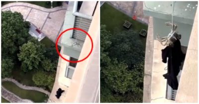 Video: Người đàn ông dùng con cua gắp chiếc áo bị rơi