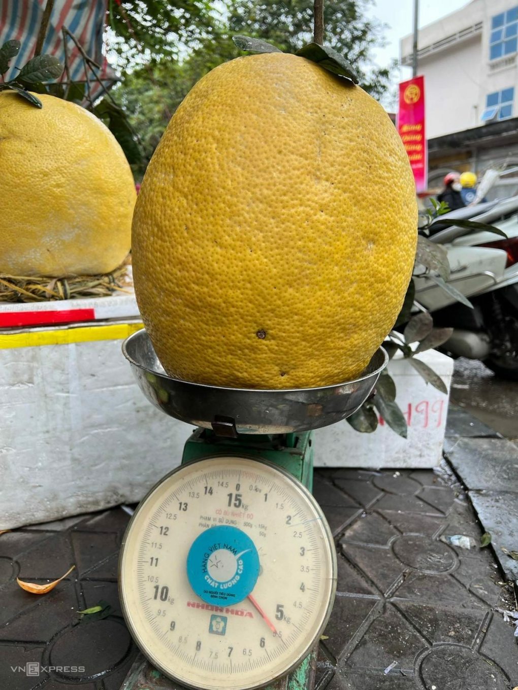 Quả bưởi siêu to cân nặng 5,5 kg được người bán nói giá 700.000 đồng, tại chợ Hà Đông (ảnh chụp màn hình VnExpress).
