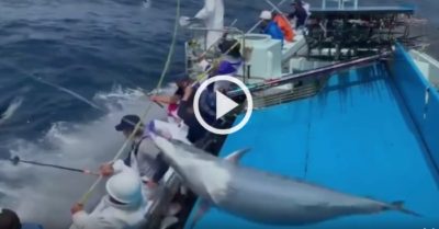 Video: Cần thủ mỏi tay ‘vớt’ cá lên thuyền với tốc độ chóng mặt