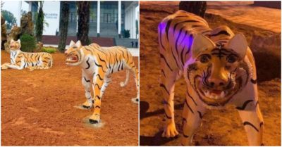 Bị chê kém sắc, 5 tượng hổ tại Phú Thọ đã được di dời