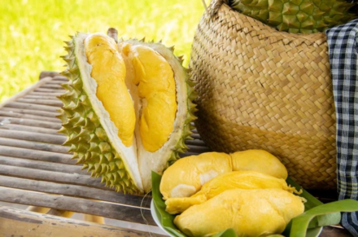 Quả sầu riêng là loại quả nên ăn vào ban ngày
