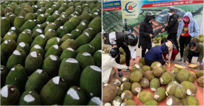 ‘Dân trong nghề’ tiết lộ về loại mít bị khoét trên đầu, bôi chất trắng trước khi mang bán