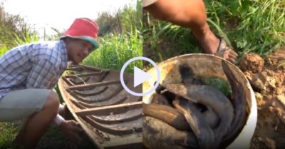 Video: Người đàn ông lật con thuyền cũ thu hoạch cả ổ cá trê
