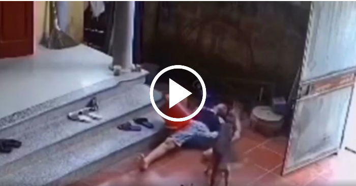 Video: Chó cưng chạy đi tìm người giúp khi thấy chủ ngã ra đất vì say thuốc lào