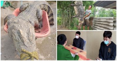 Cập nhật tối 10/1: Giả gái, dùng súng nhựa cướp taxi; Cá sấu ‘khủng’ liên tục xuất hiện tại vùng ven TP. HCM