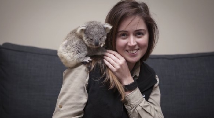 Video: Gấu con Koala nhầm tưởng chú chó là mẹ