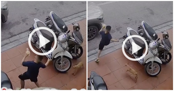 Cậu bé chạy thục mạng vì bị cún con đuổi (ảnh cắt từ video).