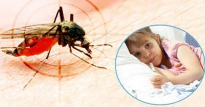 Những điều cần lưu ý khi chăm sóc trẻ bị sốt xuất huyết