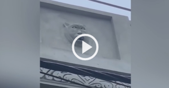 Video: Chủ nhà 'khóc thét' khi nhờ thợ làm tượng con hổ