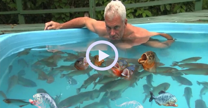 Video: Người đàn ông liều lĩnh nhảy xuống bể nước đầy cá Piranha và kết cục đầy bất ngờ!
