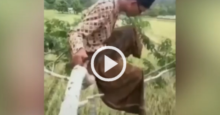 Video: Thanh niên ngã đau vì mắc lỗi ngớ ngẩn khi chặt cây