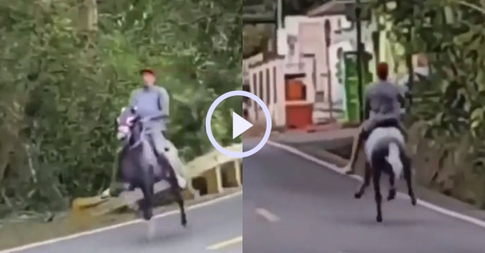 Video: Con ngựa có kiểu chạy kỳ lạ khiến nhiều người ngạc nhiên