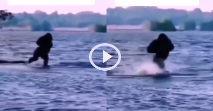 Video: Khỉ đột bụng phệ thử chạy 'khinh công' trên mặt nước