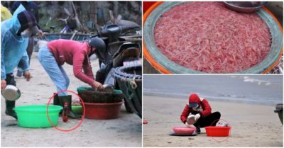 Tiểu thương Đà Nẵng nhuộm ruốc biển bằng chất gây hại cho sức khỏe