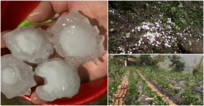 Sơn La: Mưa đá “khủng”, người dân chui gầm giường lánh nạn