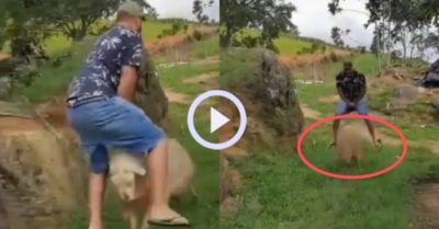 Video: Người đàn ông chơi trò nhảy cừu cùng chú cừu