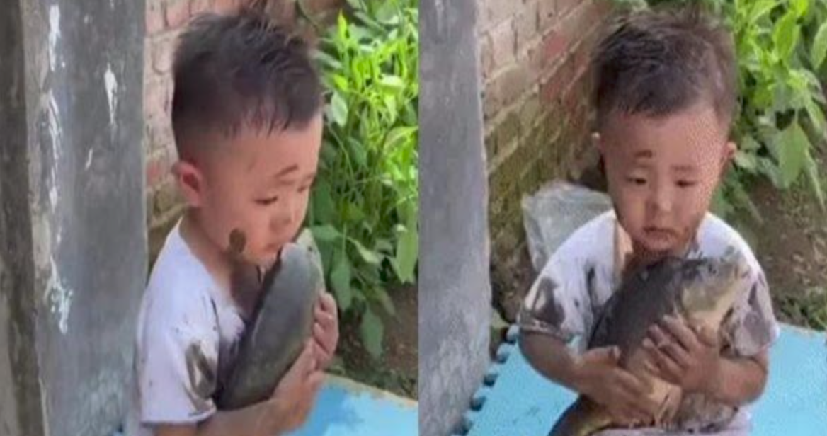 Video: Cậu bé "bế" cá lên cạn ru ngủ