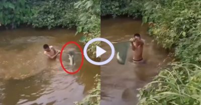 Video: Con cá tự nhảy vào vợt của nam thanh niên