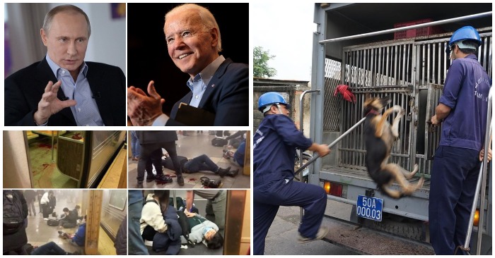 Tin sáng 13/4: Đội bắt chó thả rông nên nhân rộng cả nước? Biden 'thêm dầu vào lửa' với Putin