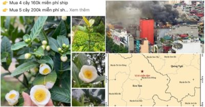 Cập nhật tối 16/4: Bạch hải đường “vỡ bong bóng”: Bán rẻ như cho vẫn… ế?; 8 trận động đất ở Kon Tum chỉ trong 2 ngày