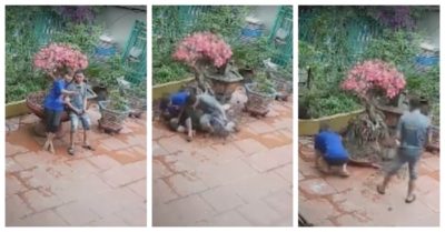 Video: Cặp đôi sống ảo làm vỡ chậu hoa