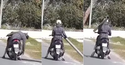 Video: Một cô gái ‘Ninja’ đậm chất văn minh